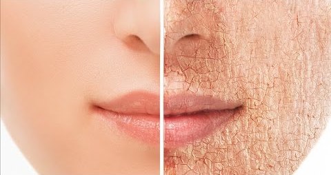 Полезные статьи от профессионалов сайта Дива | Как правильно ухаживать за  сухой кожей лица?